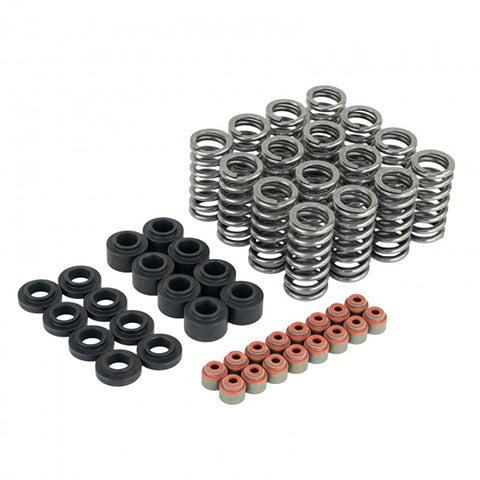 Skunk2 Racing Ultra Valve Springs and Spring Base Kit - 2016-2021 Honda Civic 1.5T