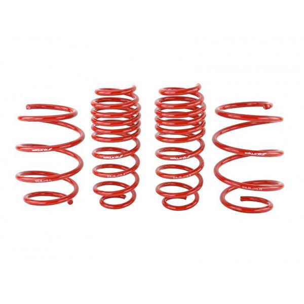 Skunk2 Lowering Springs - 2016-2021 Honda Civic Non Type-R