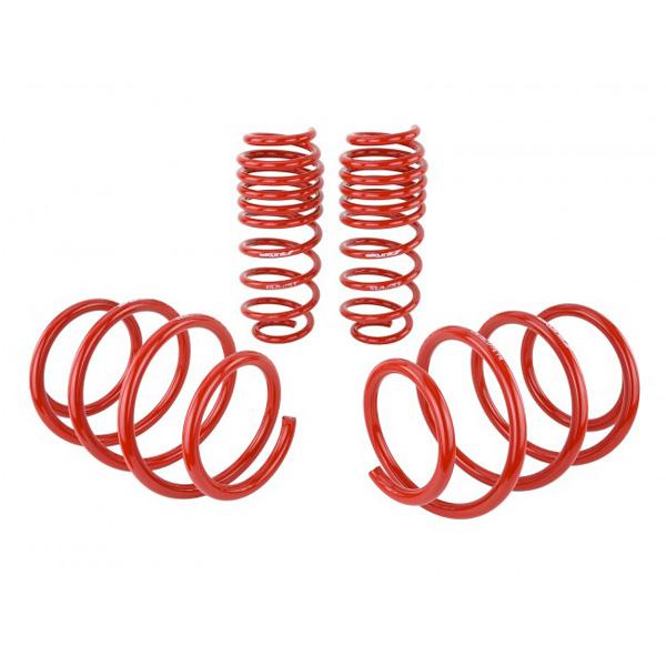 Skunk2 Lowering Springs - 2016-2021 Honda Civic Non Type-R