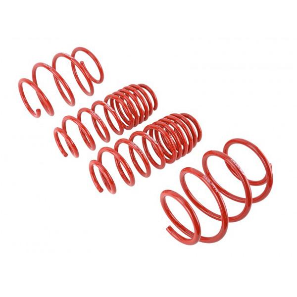 Skunk2 Lowering Springs - 2016-2021 Honda Civic Non Type-R