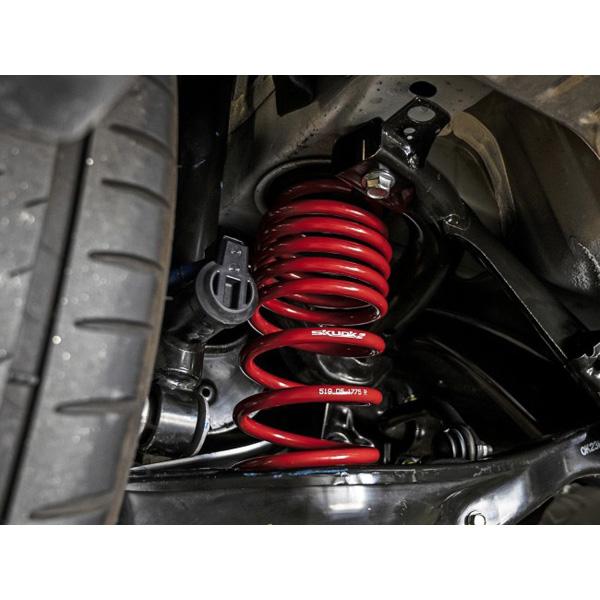 Skunk2 Lowering Springs - 2016-2021 Honda Civic Non Type-R