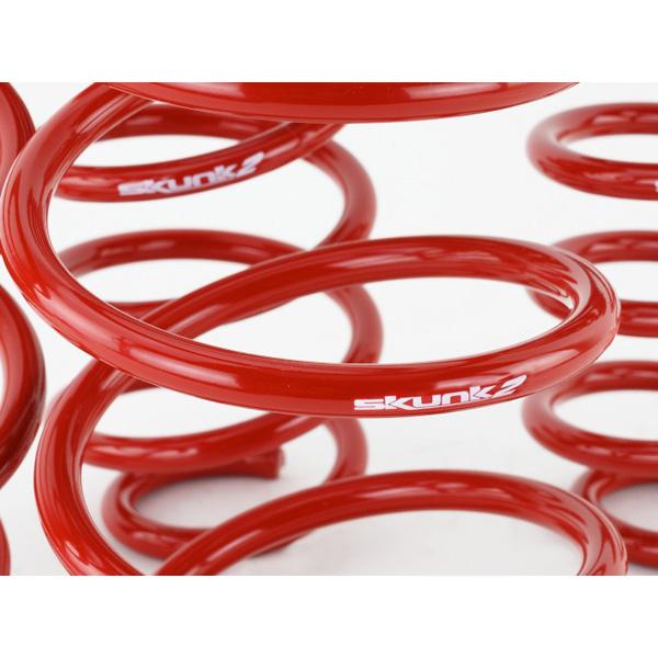 Skunk2 Lowering Springs - 2016-2021 Honda Civic Non Type-R